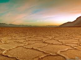 This is Errol's fault.