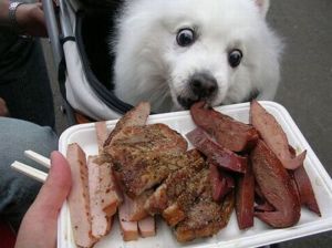 Or he is offered meat...