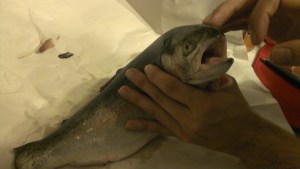 I called him Mr. Gapey